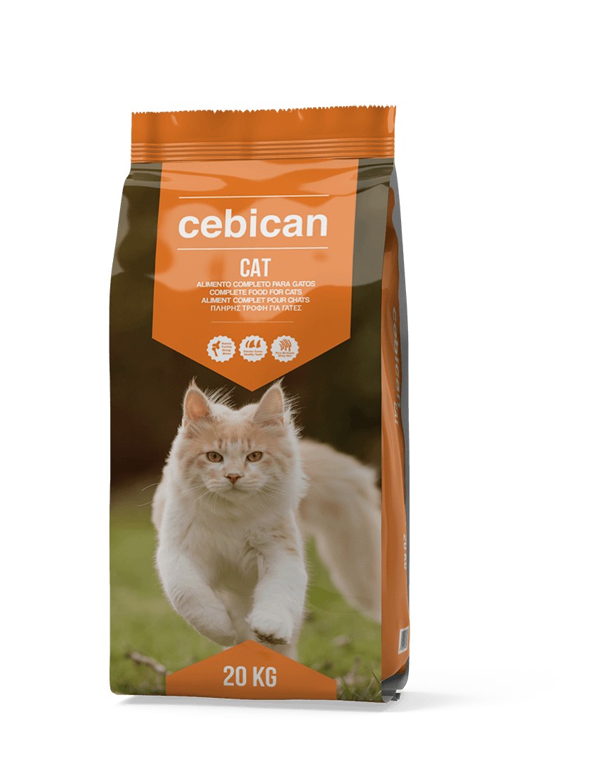 28/10 Cebican Cat Mix